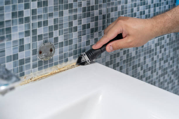 Best Mold Remediation for Specific Building Types in Union Springs, NY