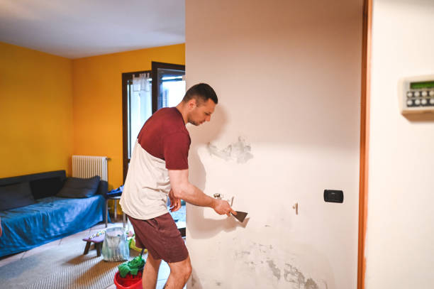 Professional Mold Remediation in Union Springs, NY